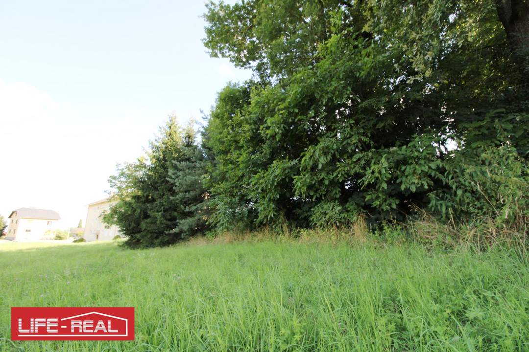 Vielseitiges Grundstück in wachstumsstarker Region