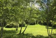 Seegrundstück - exklusiv und idyllisch - wohin mit der Seele, wenn nicht an den See!