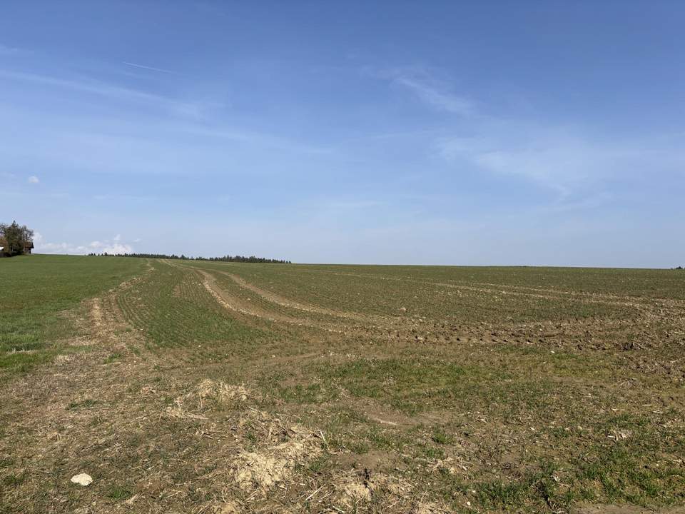 landwirtschaftlicher Nutzgrund in Andling