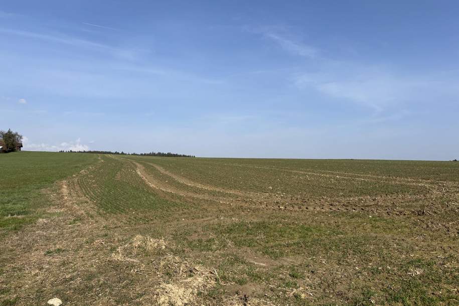 landwirtschaftlicher Nutzgrund in Andling, Grund und Boden-kauf, 219.000,€, 4733 Grieskirchen