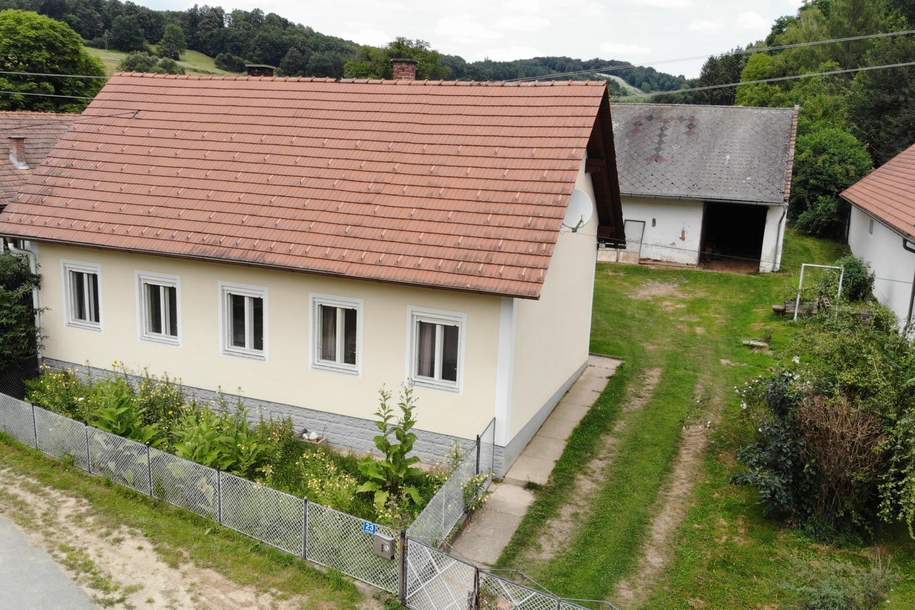 NEUER PREIS Bauernhaus mit BRUNNEN und Nebengebäude, Haus-kauf, 139.000,€, 7540 Güssing