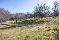 Ein einzigartiges Anwesen mit viel Platz und unzähligen Möglichkeiten