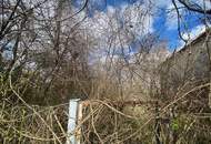 Bauplatz mit Altbestand