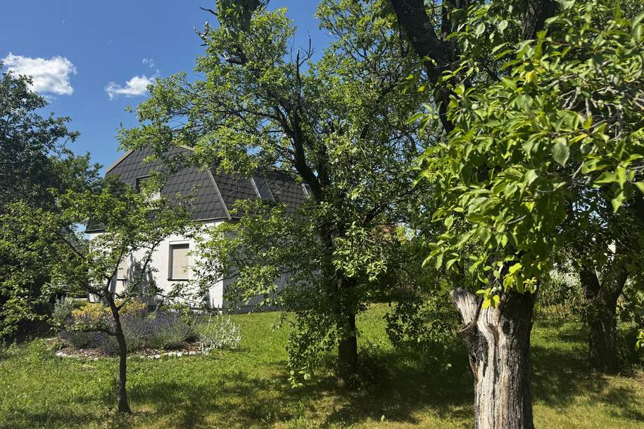 Wohnhaus inmitten vom Gartenparadies, Haus-kauf, 398.000,€, 2620 Neunkirchen