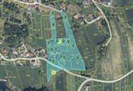 Liegenschaft mit Einfamilienhaus und Nebengebäuden nahe Bad Gams!