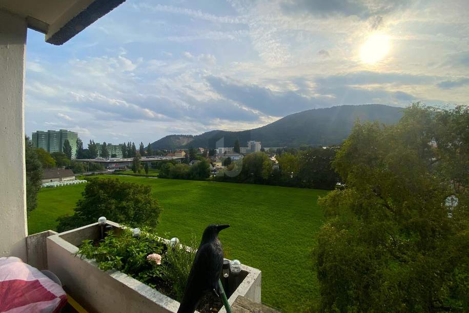 2-ZIMMER MIT WUNDERSCHÖNEM BLICK INS GRÜNE, Wohnung-kauf, 220.000,€, 8051 Graz(Stadt)