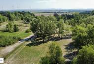 11 Idyllische Seegrundstücke mit Seezugang, Nähe Ebreichsdorf