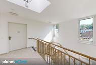 Erstbezug : Neubau : 4-Zimmer-Wohnung : Terrasse