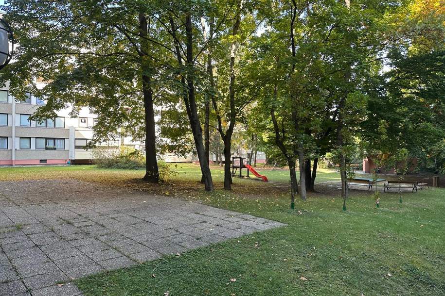 Südseitige 2-Zimmer-Wohnung mit Loggia – hell, ruhig & bestens angebunden, Wohnung-kauf, 229.000,€, 1160 Wien 16., Ottakring