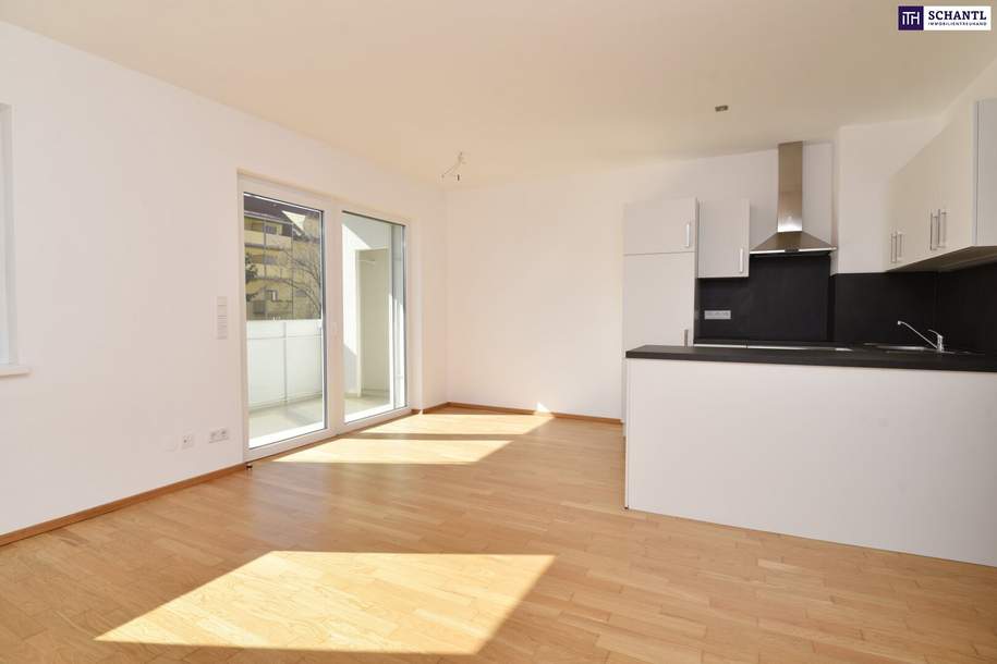 FABELHAFTE 3 Zimmer Wohnung in kleinem Wohnhaus mit Innenhof-Süd-Ausrichtung! Top Anbindung! Ab sofort verfügbar!, Wohnung-miete, 1.004,41,€, 8020 Graz(Stadt)