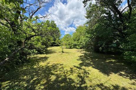 Ihr Gartenparadies mit Haus in TOP-RUHELAGE, Haus-kauf, 275.000,€, 2630 Neunkirchen