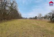 RESERVIERT! Sanierter Bauernhof mit zwei Wohnungen und großem Grundstück