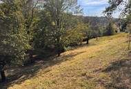 PREISREDUKTION! Attraktiver Baugrund inkl. Bewilligung für Wohnbauprojekt mit 4 Doppelhaushälften!