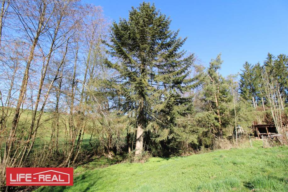 Großzügiges Grundstück mit Altbestand & Potential, Grund und Boden-kauf, 215.000,€, 4111 Urfahr-Umgebung
