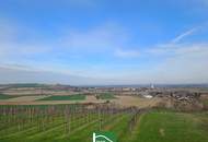 Abendsonne am großzügigen Balkon genießen! 2-Zimmer-Erstbezugswohnung - FLORIANI – Quartier am Tullnerfeld