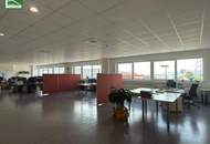 Hochwertige Gewerbefläche mit 15 Parkplätzen in 2326 Maria Lanzendorf – Industriestraße: ab sofort verfügbar!