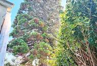 Einfamilienhaus mit großem Grundstück, 2 Eingängen, Grenze zu Wien