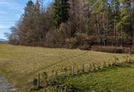 Sonniges Baugrundstück mit Karawankenblick in Augsdorf bei Velden