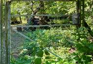 OPEN HOUSE SA 18.07 - LEISTBARER BUNGALOW in Strasshof Silberwald