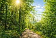 "In der Ruhe liegt die Kraft!"