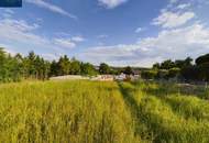 Tauchen Sie ein im Waldviertel: ZWETTL - Grundstück mit Grünblick ab 804 m² - AUFGESCHLOSSEN