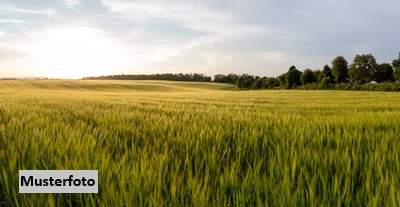 Landwirtschaftsflächen