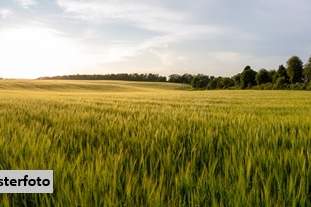 Landwirtschaftsflächen, Grund und Boden-kauf, 10.899,€, 3361 Amstetten