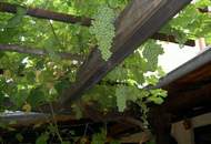 WACHAU LIFESTYLE – AUSSERGEWÖHNLICHES WEINGUT IN IKONISCHER DONAULAGE BEI DÜRNSTEIN