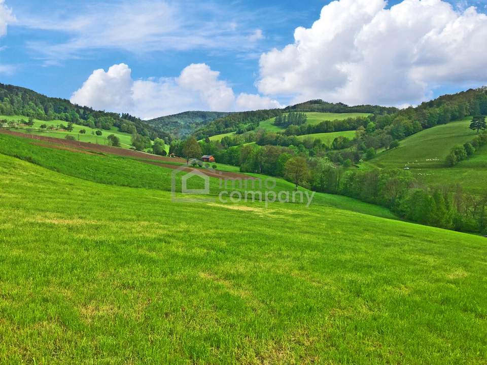 Ihr Traumhaus für nur 439.000 Fixpreis - sofort beziebar - Neubaustandard !!!