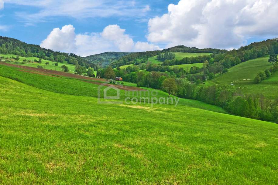 Ihr Traumhaus für nur 439.000 Fixpreis - sofort beziebar - Neubaustandard !!!, Haus-kauf, 439.000,€, 2534 Baden