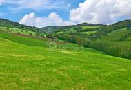 Ihr Traumhaus für nur 439.000 Fixpreis - sofort beziebar - Neubaustandard !!!