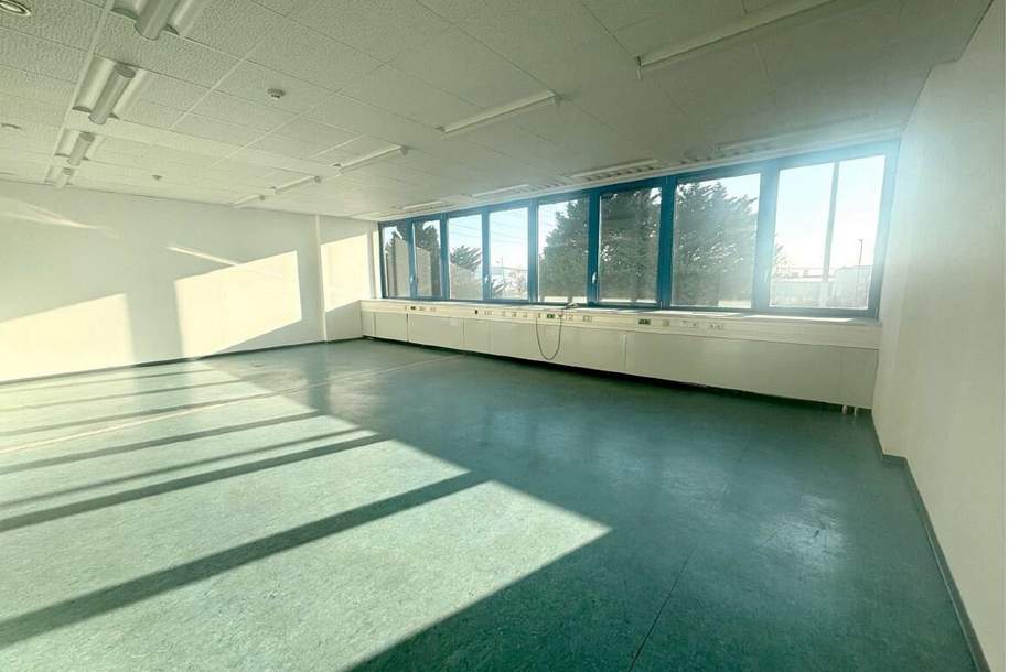 Trieser Straße - IKANO 75qm Bürofläche, Gewerbeobjekt-miete, 972,10,€, 2351 Mödling