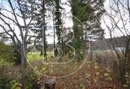 Sanierungsbedürftiges Einfamilienhaus beim Riederberg!