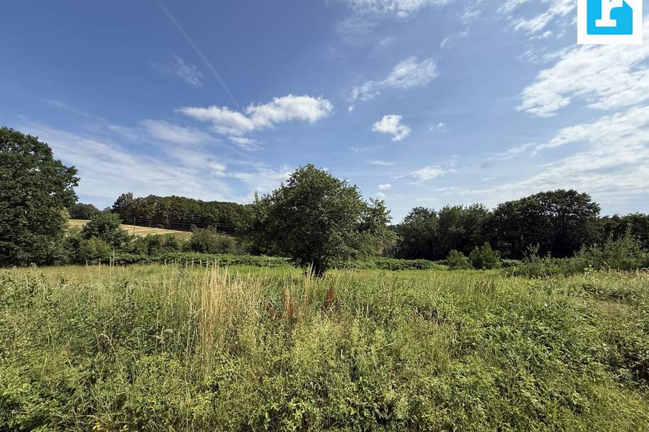 Baugrundstück mit Weitblick in Krottendorf bei Güssing, Grund und Boden-kauf, 70.602,€, 7540 Güssing