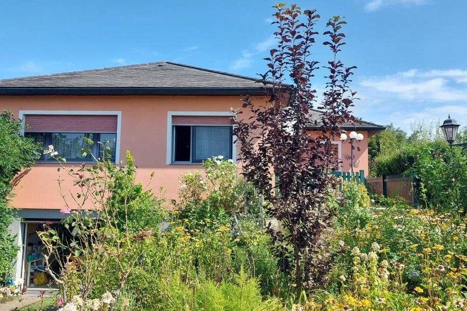 "Preisreduktion! Fernblick und großer Garten - Bungalow in 1220 Wien-Essling-Breitenlee", Haus-kauf, 549.000,€, 1220 Wien 22., Donaustadt
