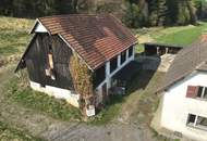 SANIERUNG 2025: Geräumiges Einfamilienhaus mit angeschlossener Kleinlandwirtschaft (Neben- und Stallgebäude) mit ca. 2.700 m² Grund