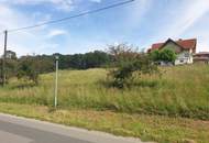 Sonnige Aussichten für Ihr Eigenheim in Goggitsch