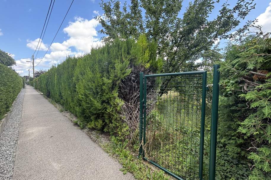 1210 Sonniges Grundstück! EIGENGRUND in schöner Kleingartenanlage!, Grund und Boden-kauf, 239.000,€, 1210 Wien 21., Floridsdorf