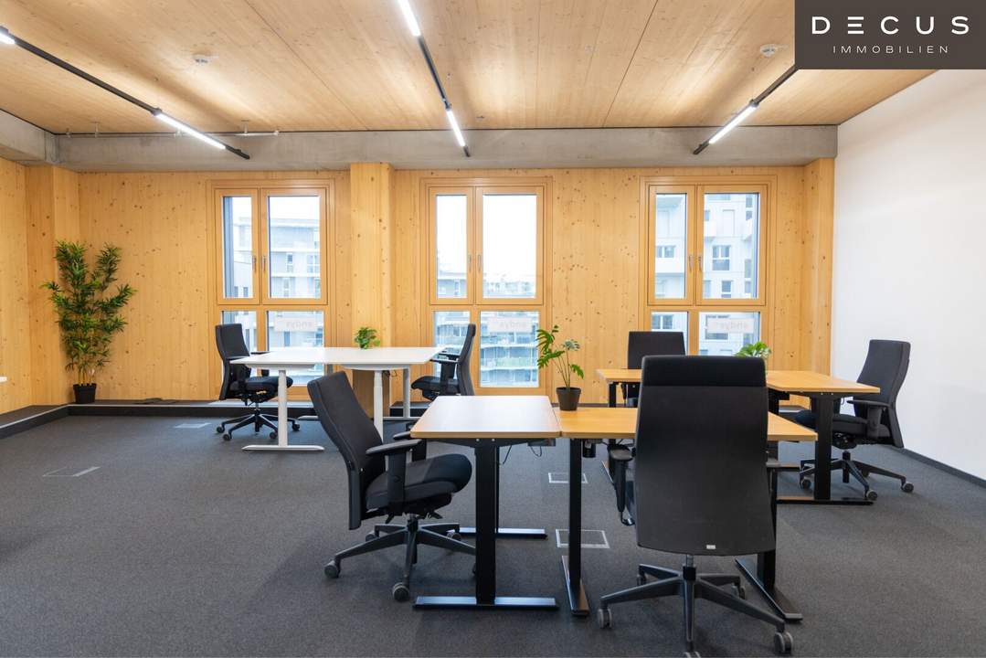 + + + Büroflächen und Co-working in Business-Center | SEESTADT + + +