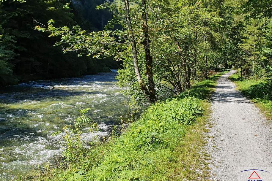 Großes Baugrundstück in traumhafter Naturlage - Grünau im Almtal, Grund und Boden-kauf, 4645 Gmunden