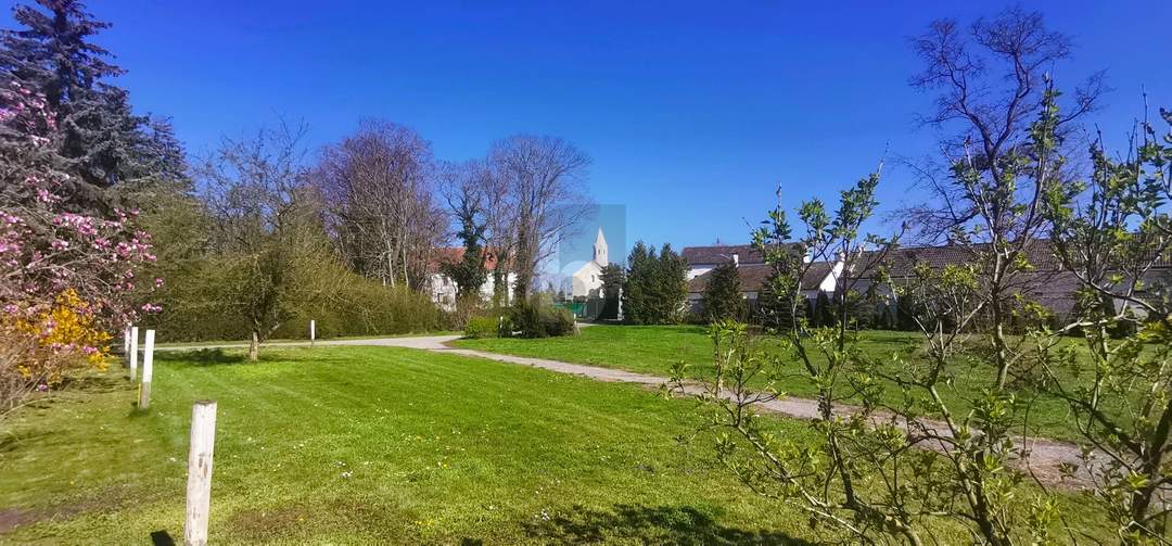 WEITLÄUFIGE FLÄCHE - VON EXKLUSIVER VILLA BIS ZU 8 WOHNEINHEITEN