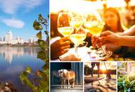 Ihr tägliches Date mit der Abendsonne! Ein cleverer und kompakter Wohntraum! Early Bird nutzen! 2 Zimmer + Große Terrasse + Hochwertige Ausstattung + Ideale Infrastruktur + Garage + Ein neues Lebebsgefühl!