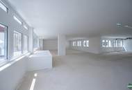 Erstbezug: Moderne Bürofläche in Hietzinger Bestlage