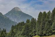 großzügige Pension in sehr guter Lage