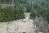 "Platz für große Pläne" - Baugrundstück in Untertauern