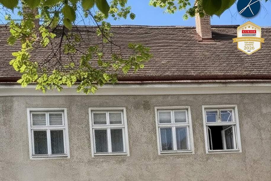 Zentrum: Projekt für Neubau + Sanierung in Top Lage!, Gewerbeobjekt-kauf, 850.000,€, 3500 Krems an der Donau(Stadt)