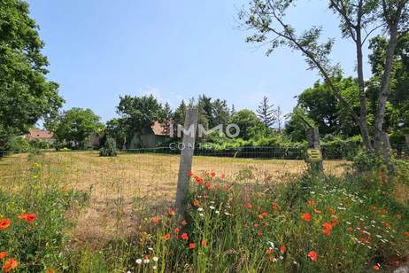 3,015 m2 großes aufgeschlossenes Grundstück in ruhiger und zentraler attraktiver Lage, Grund und Boden-kauf, 1.750.000,€, 2522 Baden