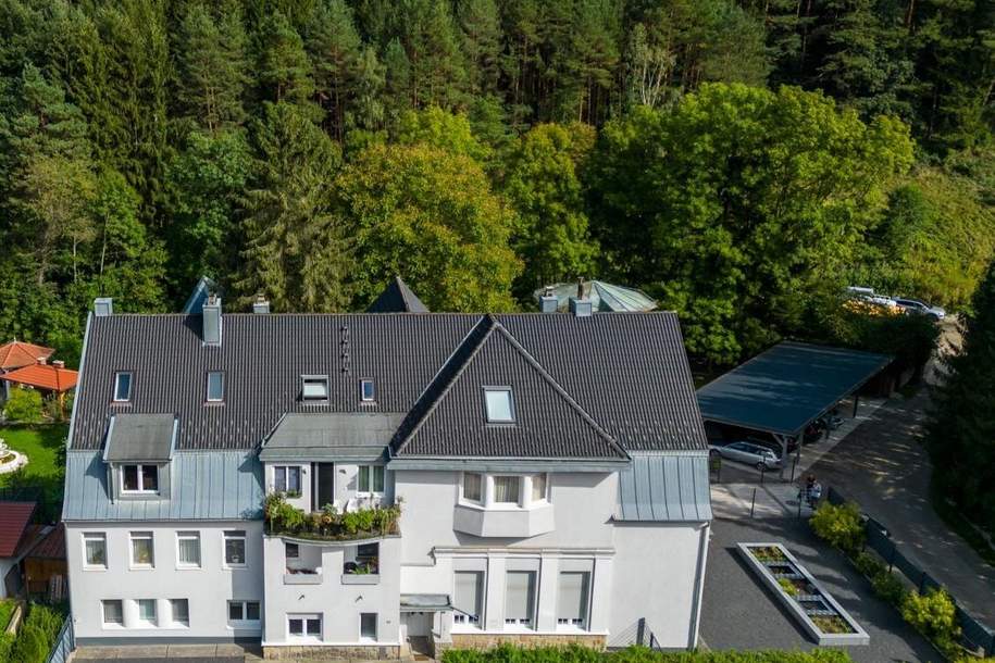 " Befristet vermietetes Zinshausjuwel (3-5 Jahre) im Wienerwald", Gewerbeobjekt-kauf, 2.200.000,€, 1140 Wien 14., Penzing