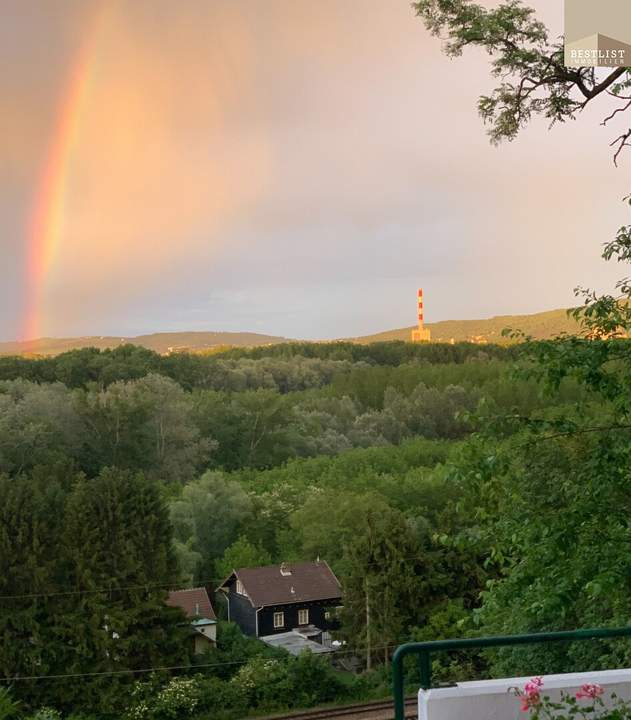 Etablierter, aktiver Pensionsbetrieb in Kritzendorf bei Klosterneuburg