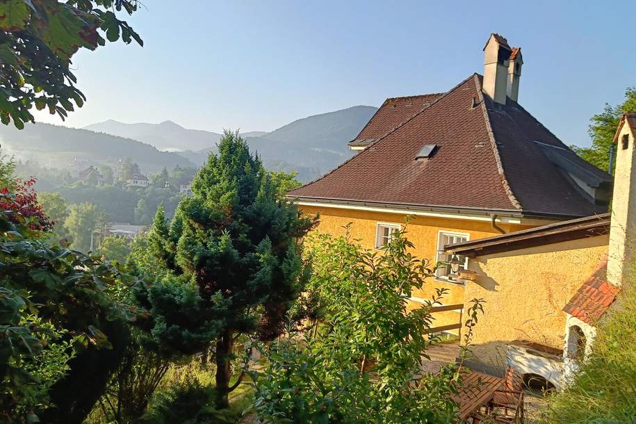 Charmante Villa im Schönbrunnstil mit Einliegerwohnung zu vermieten, Haus-miete, 2.460,00,€, 3335 Steyr-Land